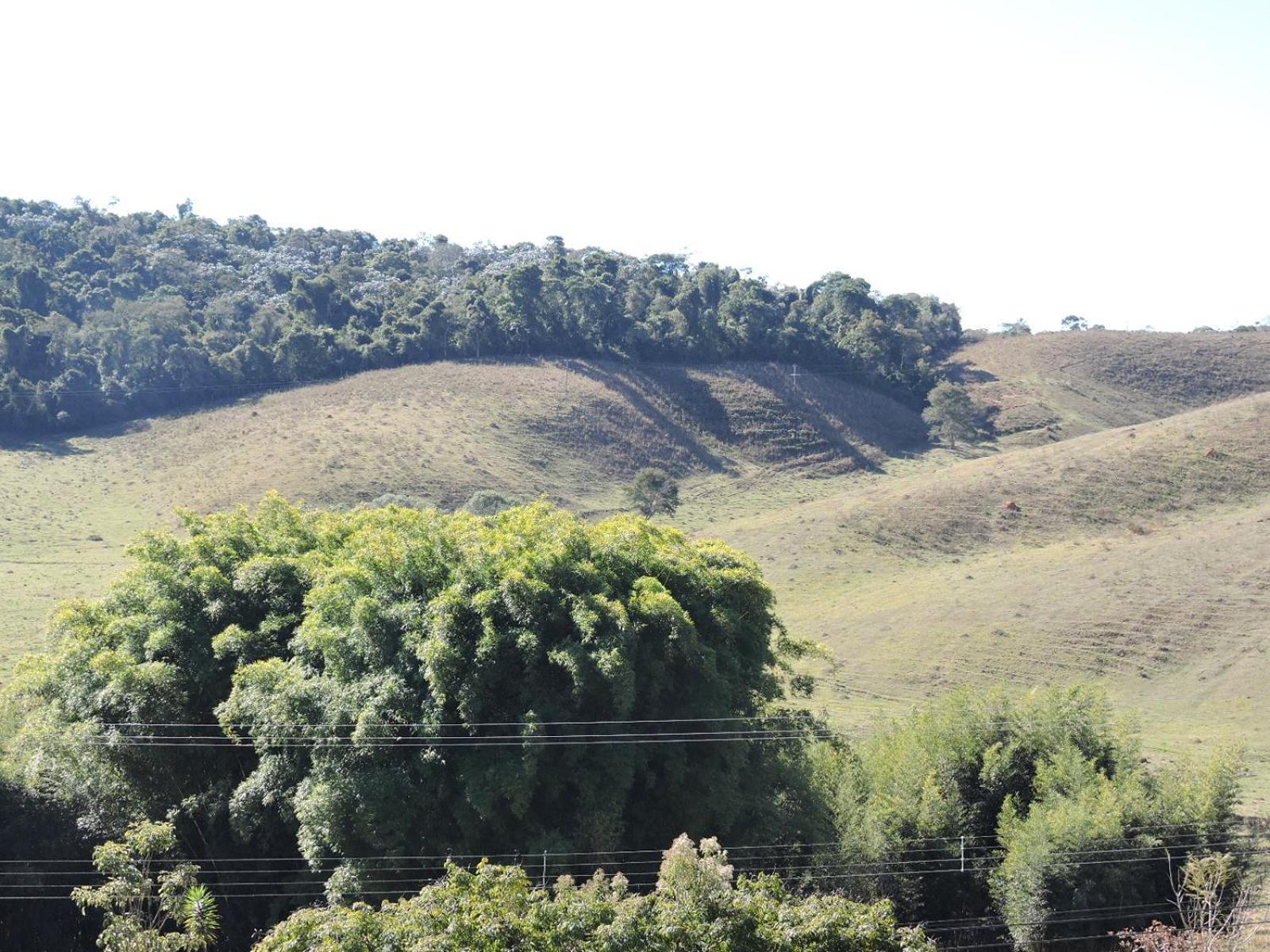 Pousada Vista Verde Cunha Δωμάτιο φωτογραφία